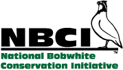 NBCI Logo